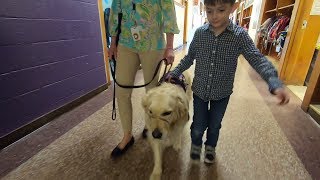 Saratoga Springs mom says dentist kept out her son's service dog and handler