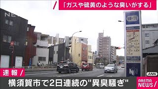 横須賀市2日連続の異臭騒ぎ　あすにも分析結果公表(2020年10月15日)