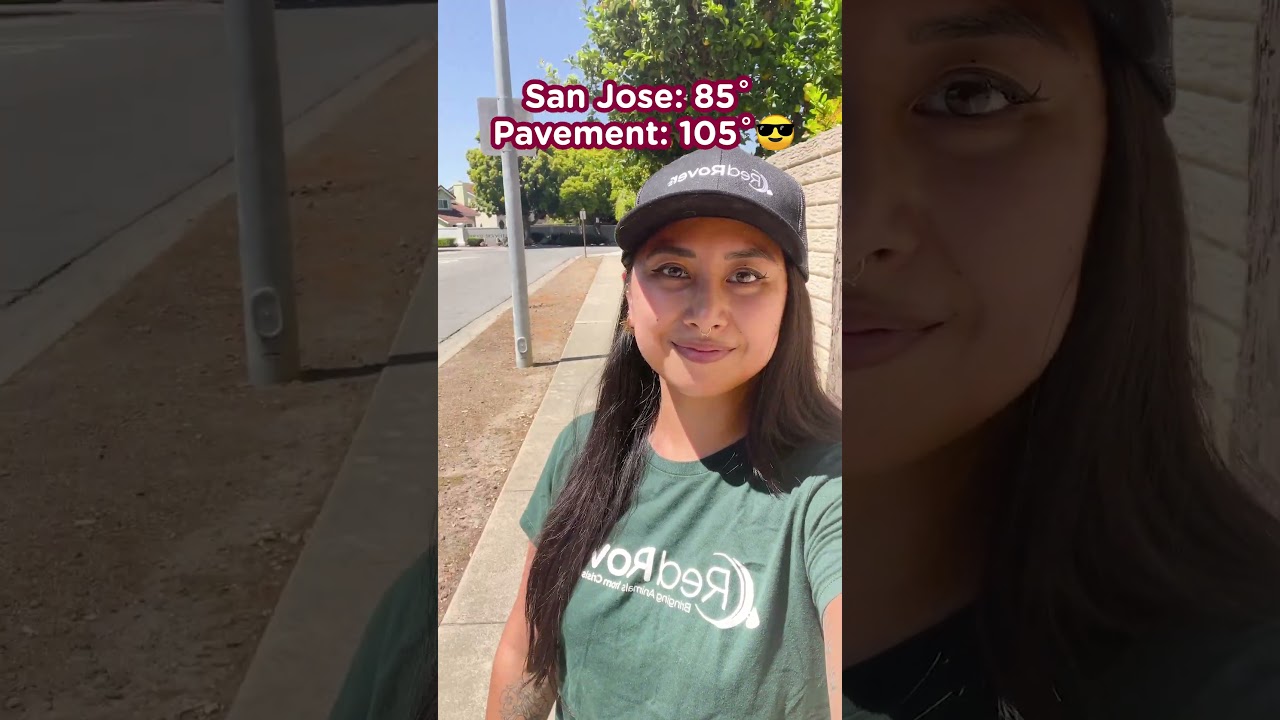 How hot is too hot? 🤔