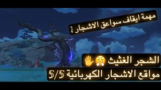 جينشن امباكت قيم بلي | مواقع الاشجار الكهربائية  | sakura arborism thounder sakura locations