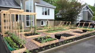 Quebec Front Garden Gets To Stay After Give Peas A Chance Protest Globalnewsca