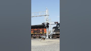 TRAIN SHORTS #00147 BNSF 3775 EB STACK TRAIN 7-17-2025 #shorts  #passengertrain #automobile