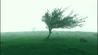 【Rafale】～Original Piano Composition～ @HiroyukiArimoto