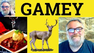 😎 Gamy Meaning  Gamey Definition - Gamy Defined - Gamey Examples - Gamy Gamey