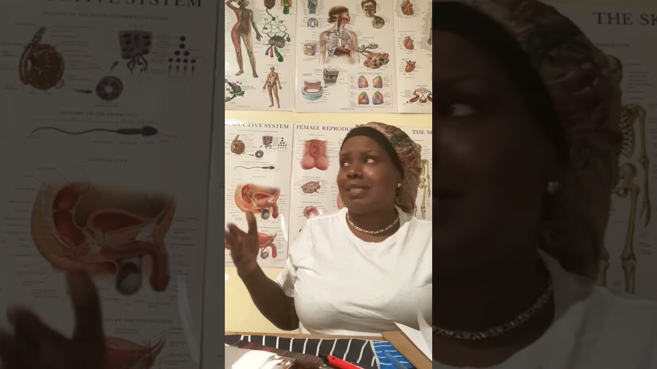 The Revelation and the digestive system and the muscular system AKA “the solar plexus”