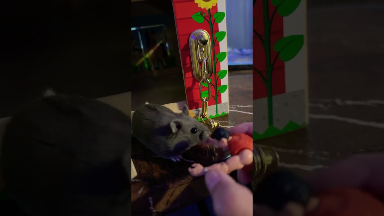 The gubb Gubb creature