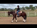 Ranch Riding Manoeuvres