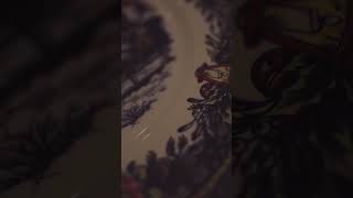 Are these Christmas plates cursed