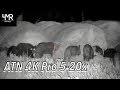 Defending hay bales from hogs  atn 4k pro