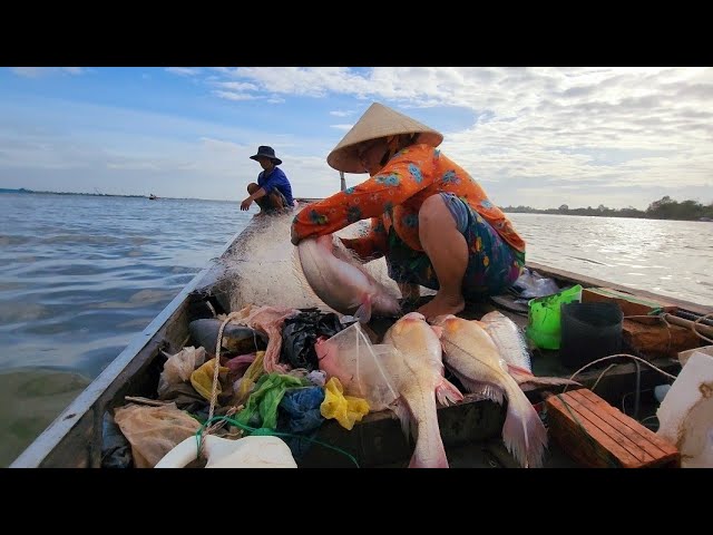 Khám Phá fb68 - Trải Nghiệm Săn Cá Giải Trí Đỉnh Cao