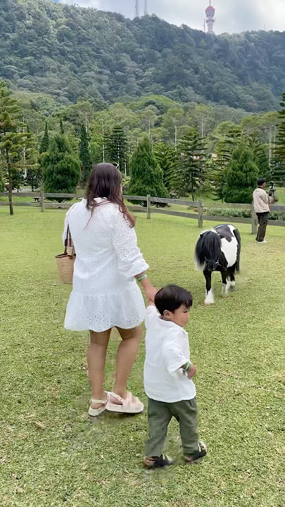 Balinese pony farm house