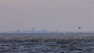 MVI 8144 30fps
