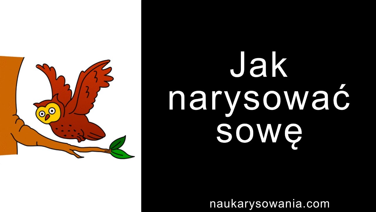 Jak Narysować Sowę Rysowanie Sowy Krok Po Kroku