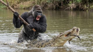 Crocodile Grabbed The Baby Monkey What Happened In The Next 5 Seconds Changed Everything
