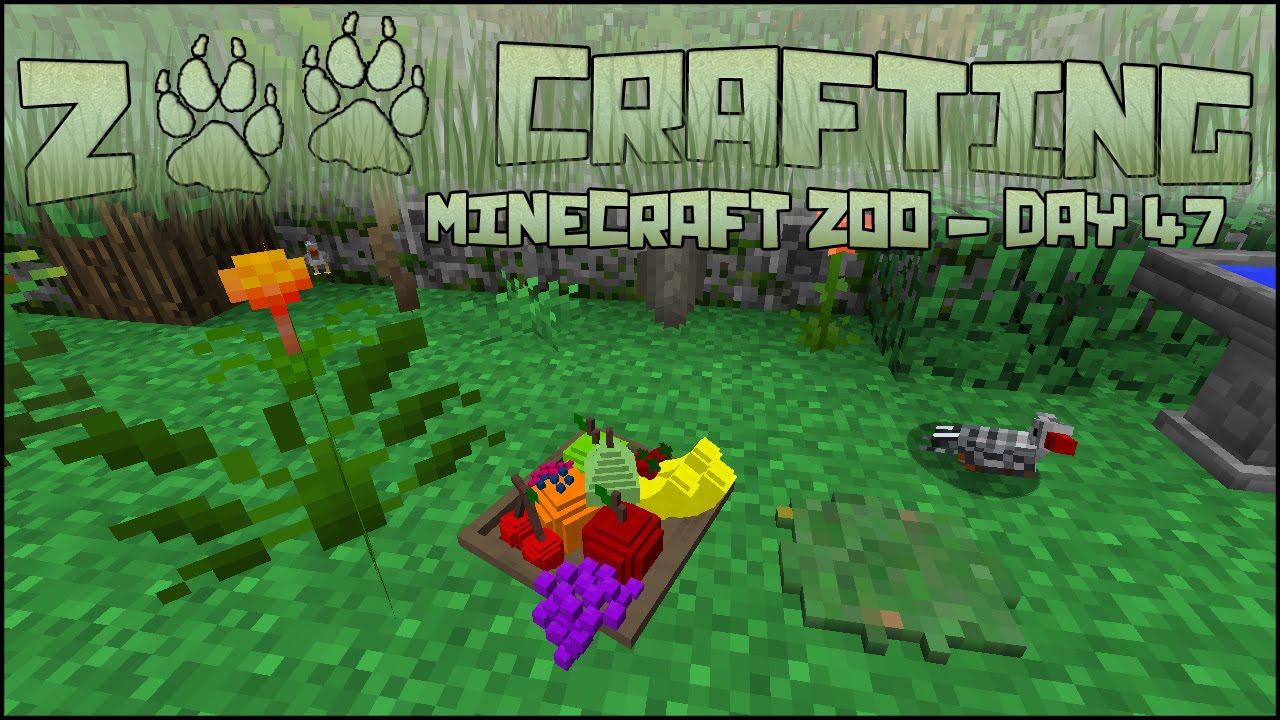 Final Fruity Touch 🐘 Zoo Crafting Season 2 Episode 47 YouTube