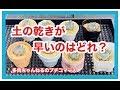 水はけの良い鉢はどれなのか？