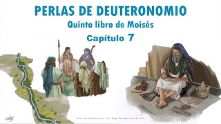Pearls from Deuteronomy Chapter 7 | Revived by His Word #Hedjusan