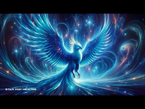 Phoenix Meditations 🐦‍🔥 - YouTube