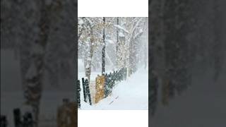 29 Aralik 2025 Okullar Tati̇l Mi̇