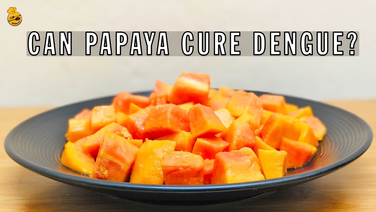 How to eat papaya for your dengue cure/treatment? Naturally, increase