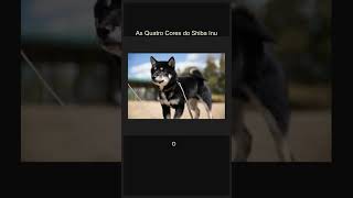 As Quatro Cores do Shiba Inu #Shorts