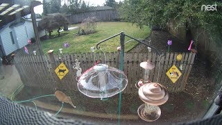 More Cat X-Ing M3Fc 0904