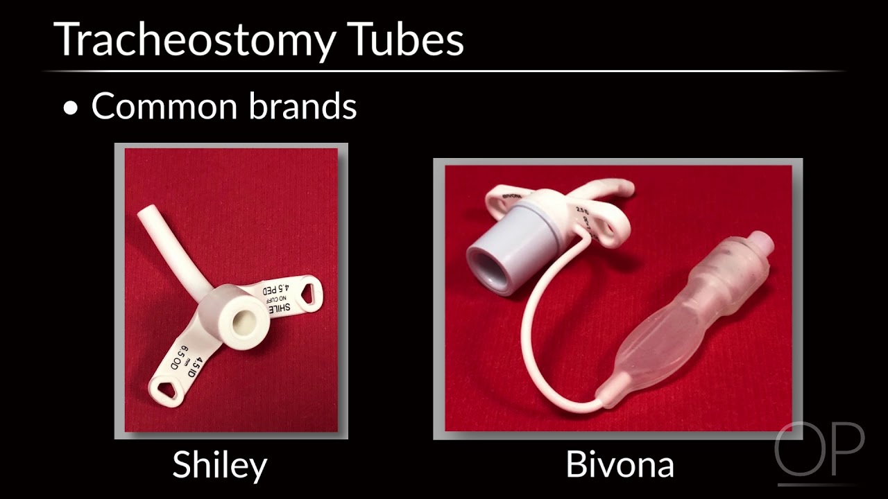 Cuffed Tracheostomy Tube Vs Uncuffed