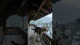 Rainy Wooden House Cat Ambience 🌧️🐱  Relaxing Piano Chill Vibes