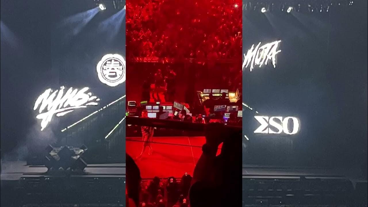 MJ116《生煎包》OGS MJ116《生煎包》OGS