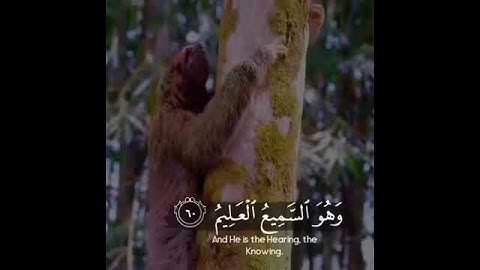 ماتيسر من سورة العنكبوت حالات واتس اب دينيه