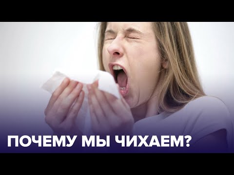 Почему мы чихаем? Частые и неочевидные причины