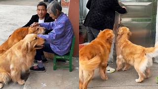 毛孩子们想奶奶了 ❤️#聪明旺豆豆