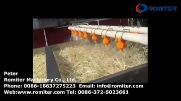 Automatic Bean Sprout Washing and Shelling Machine-Romiter Machinery