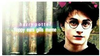 floppy ears gills meme / harry potter