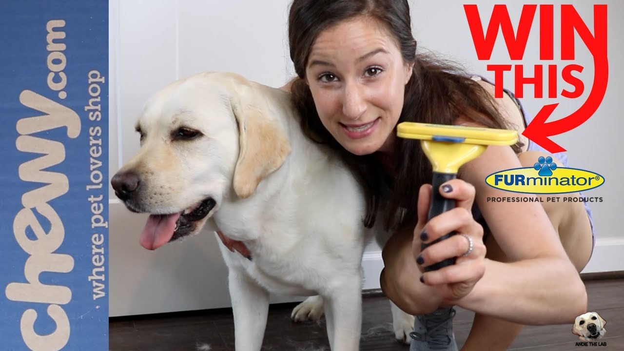 Lab Tested - Most Tool for your PET + FURminator GIVEAWAY! Furminator - YouTube