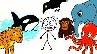 The Most Intelligent Animals That Can Actually Hunt Humans!