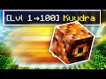 Is this "instant" pet leveling strat worth it? (Hypixel SkyBlock)