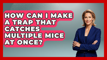 How Can I Make A Trap That Catches Multiple Mice At Once? - Insects and Invaders