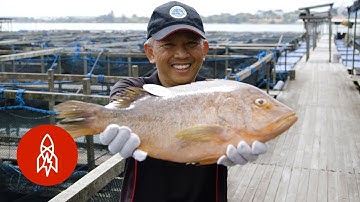 Temui Pria yang Membawa Keterampilan TI ke Laut