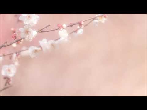 Jenő Jandó & Takako Nishizaki - モーツァルト: ヴァイオリン･ソナタ 変ロ長調 K.378：第1楽章［ナクソス・クラシック・キュレーション #ロマンチック］