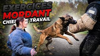 MAITRE CHIEN