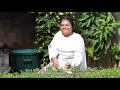 Solar Cooking - Mauritius