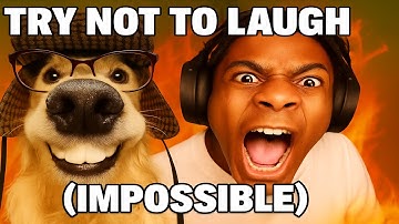 Try not to laugh! (Impossible!) | You Laugh, You Lose! PART 13