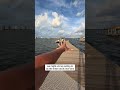 Doing a little experiment with decking for Hurricane Season this time around! Loving our deck 🙌🏼