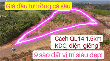 Đất trồng cà phê sàu riêng gần quốc lộ dân cư, điện nước giếng giá rẻ, bất động sản đất rẫy