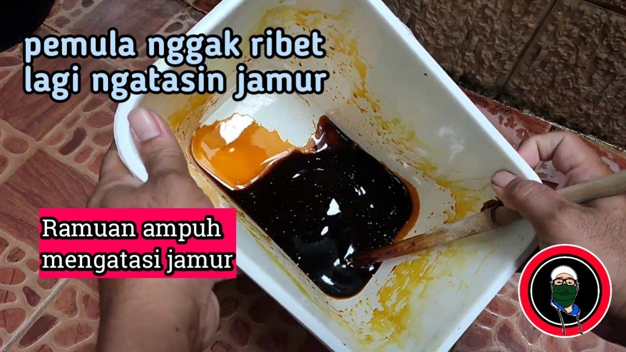 membuat JADAM SULFUR, sangat ampuh untuk jamur