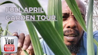 Full April Garden Tour | Vegetable Edition
