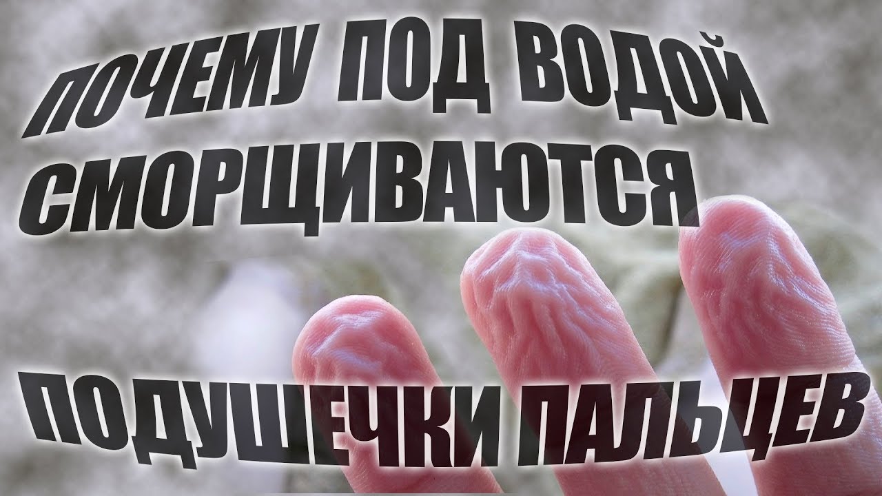 Почему под водой сморщиваются подушечки пальцев