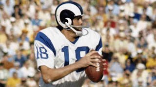 Famous Roman Gabriel Highlights Profile