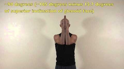 Isolated Active GH Flexion in Standing | Chris Johnson PT